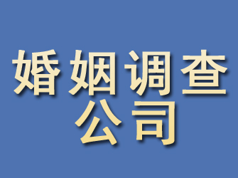 望都婚姻调查公司