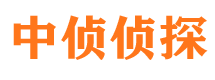 望都寻人公司